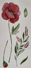 Laden Sie das Bild in den Galerie-Viewer, Wandsticker Wandtattoo Aufkleber Mohnblumen S