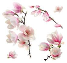 Laden Sie das Bild in den Galerie-Viewer, Fenstersticker Aufkleber Magnolie