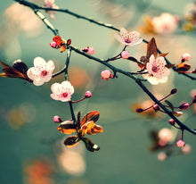Laden Sie das Bild in den Galerie-Viewer, Wandbild selbstklebend Blütenzweig 28,5 x 28,5 cm
