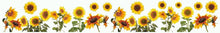 Laden Sie das Bild in den Galerie-Viewer, Wandsticker Wandtattoo Bordüre Sonnenblumen
