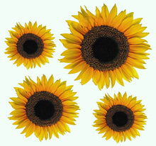 Laden Sie das Bild in den Galerie-Viewer, Wandsticker Wandtattoo Aufkleber Sonnenblumen