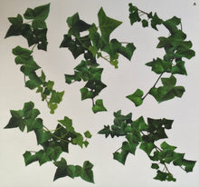 Laden Sie das Bild in den Galerie-Viewer, Wandsticker Wandtattoo Aufkleber Efeu