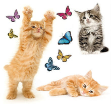 Laden Sie das Bild in den Galerie-Viewer, Fenstersticker Aufkleber Katzen