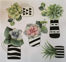 Laden Sie das Bild in den Galerie-Viewer, Fenstersticker Aufkleber Kakteen