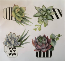 Laden Sie das Bild in den Galerie-Viewer, Fenstersticker Aufkleber Kakteen