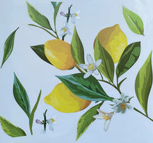 Laden Sie das Bild in den Galerie-Viewer, Fenstersticker Aufkleber Zitronen Zweig