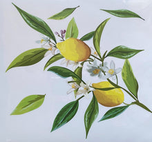 Laden Sie das Bild in den Galerie-Viewer, Fenstersticker Aufkleber Zitronen Zweig