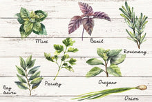 Laden Sie das Bild in den Galerie-Viewer, Klebefolie Spritzschutz Wandschutz Kräuter Shabby