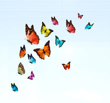 Laden Sie das Bild in den Galerie-Viewer, Fenstersticker Aufkleber Schmetterlinge
