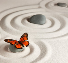 Laden Sie das Bild in den Galerie-Viewer, Wandbild selbstklebend Zen Stein Schmetterling 19 x 19 cm
