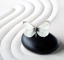 Laden Sie das Bild in den Galerie-Viewer, Wandbild selbstklebend Zen Stein Schmetterling weiß 19 x 19 cm
