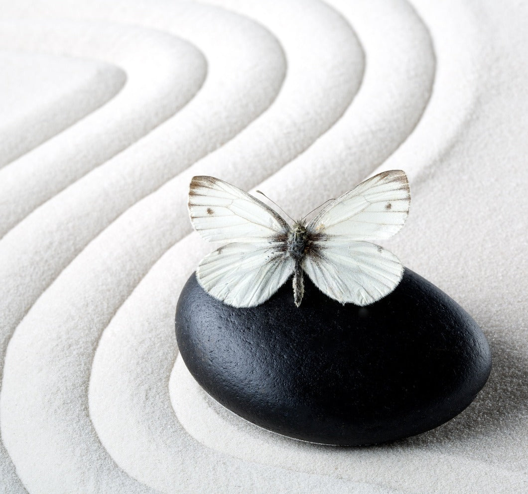 Wandbild selbstklebend Zen Stein Schmetterling weiß 19 x 19 cm